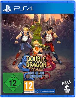 Double Dragon Gaiden - Rise of the Dragons 